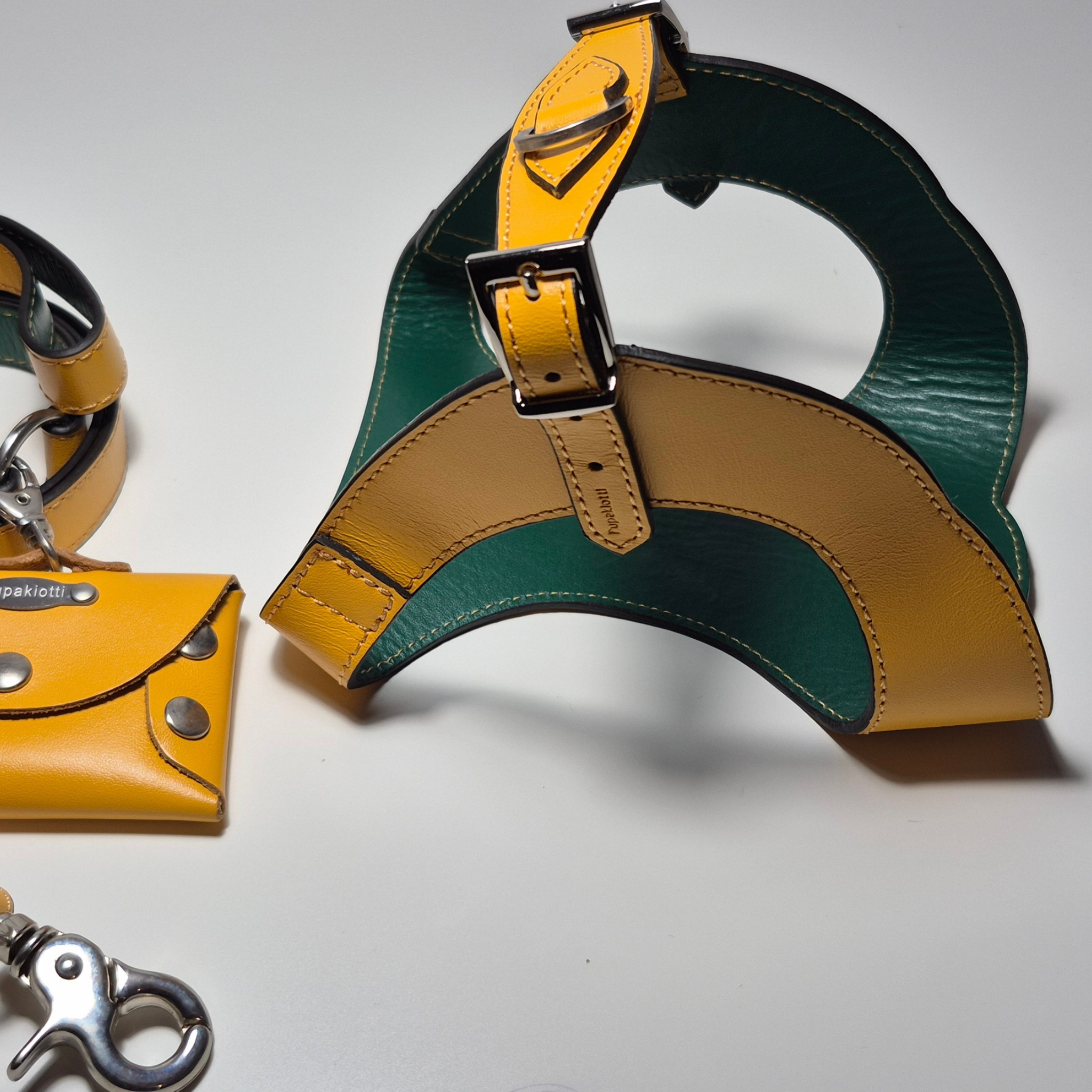 Set Pettorina e Guinzaglio in Pelle con Porta Sacchetti